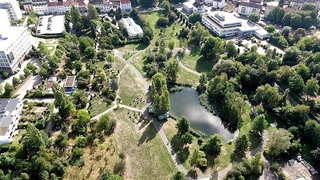 Der Strecktalpark. Pirmasens verliert die Landesgartenschau 2032. Das Land stoppt das Bewerbungsverfahren.