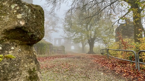 Am Wochenende gibt es in Kaiserslautern ud Region viele Veranstaltungen bei gutem und schlechtem Wetter im Herbst. 