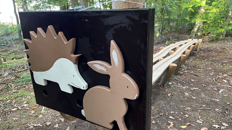 Hase oder Igel? Welche Kugelbahn ist wohl schneller?