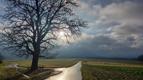 Feldweg bei Otterberg an einem sonnigen, frostigen Wintertag im Februar