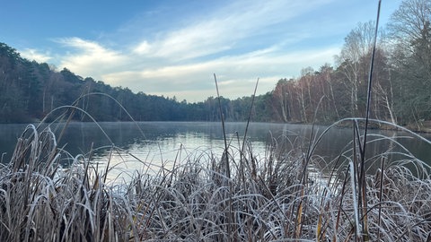Blauer Himmel über dem Vogelwoog in Kaiserslautern im Winter im Dezember.