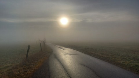 Ein nasser Feldweg bei Otterberg mit dichtem Nebel und Sonne.