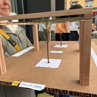 Ein Projekt in Kaiserslautern soll für mehr Schatten sorgen.