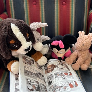 Wenn Kuscheltiere lesen lernen: Süße Übernachtungsparty in der Stadtbücherei Pirmasens