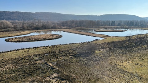 Vorfrühling am Kranichwoog bei Hütschenhausen