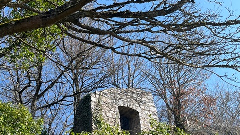 Die Burgruine Michelsburg auf dem Remigiusberg bei Haschbach im Kreis Kusel.