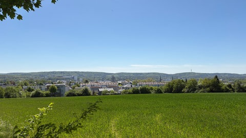 Blick auf Kaiserslautern im April.