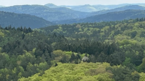 Blick von der Burg Lemberg im Landkreis Südwestpfalz