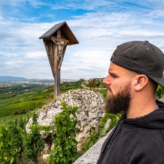 Weinberge im Zellertal. Das Weingut Puder will sich mit Oliven in der Weinbau-Krise behaupten.