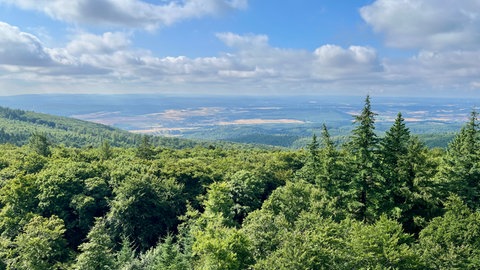 Aussicht auf dem Donnersberg.