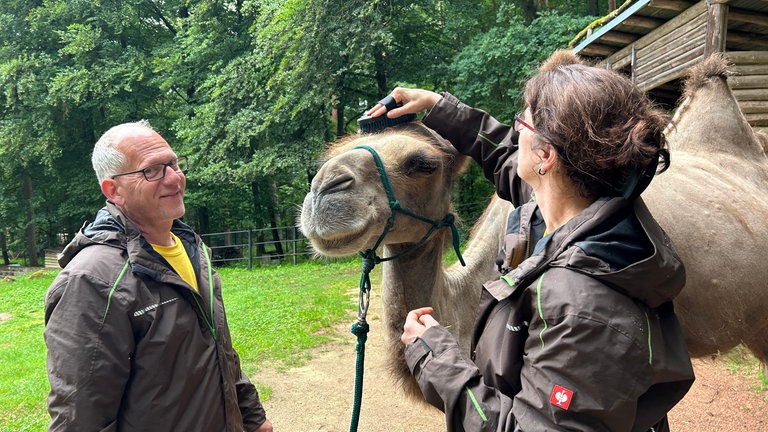 WM-Orakel müsste man sein. So ein Verwöhnprogramm lässt sich Gaya genüsslich gefallen. 