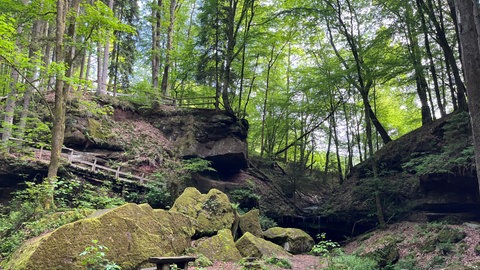 Weihermühle-Erlebnistal bei Herschberg im Landkreis Südwestpfalz im Juli