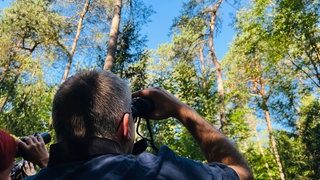 Die Kronen der Altbäume werden mit dem Fernglas gesichtet, um sich an vorab ausgesuchten Waldbereichen im Trippstadter Wald einen Überblick zu verschaffen. 