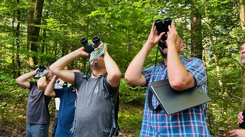 Mit einem Fernglas ausgerüstet sind die Forstfachleute an ausgesuchten Stellen rund um Trippstadt unterwegs, um auch die Altbäume hoch oben genau zu analysieren.