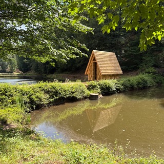 Studierende der Hochschule Kaiserslautern bauen einen nachhaltigen Unterstand im Pfälzerwald.