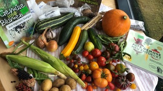 Das Saatgut ist in Tütchen verpackt und das ganze Jahr über in der Bücherei Zweibrücken zu finden.