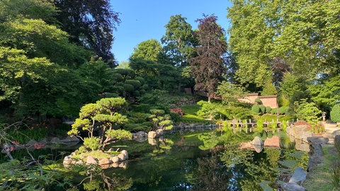 Der Japanische Garten im Sommer. 