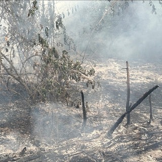 Zwei Brände riefen am Donnerstag die Feuerwehr nach Quirnbach. Teilweise kämpften die Einsatzkräfte in einer Steillage gegen das Feuer.