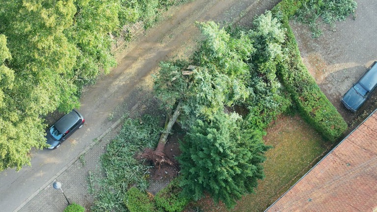 In der Südwestpfalz hat es in der Nacht ein schweres Unwetter gegeben