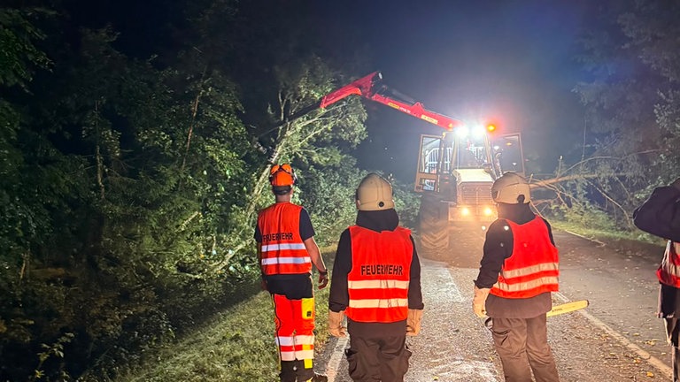 In der Südwestpfalz hat es in der Nacht ein schweres Unwetter gegeben