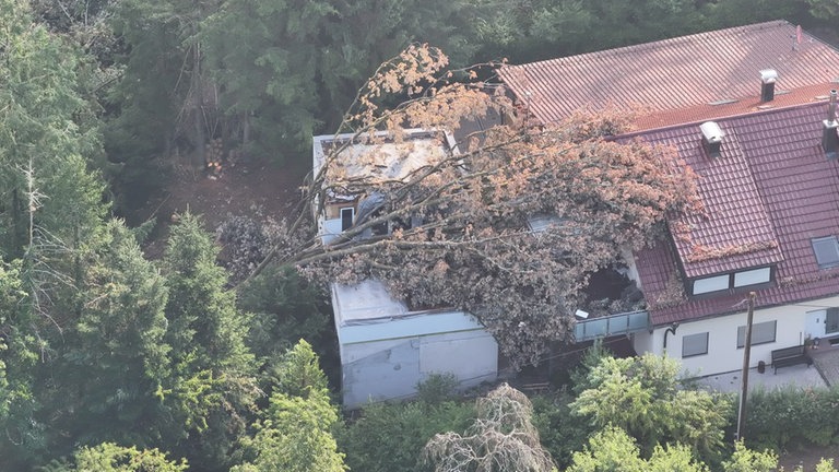 In der Südwestpfalz hat es in der Nacht ein schweres Unwetter gegeben