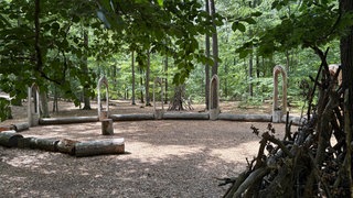 Eine Wildkamera hat einen Spielplatz bei Kaiserslautern gefilmt.