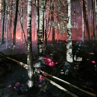Waldbrand bei Dahn im Pfälzerwald