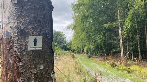 Schild Limes-Wanderweg-Holzhausen