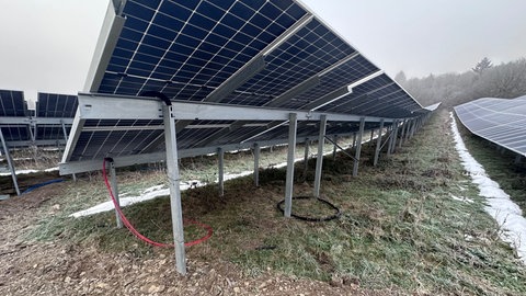 Große Solar-Module einer Photovoltaik-Anlage in Hambuch. Hier wurde in großen Mengen Kupferkabel gestohlen.