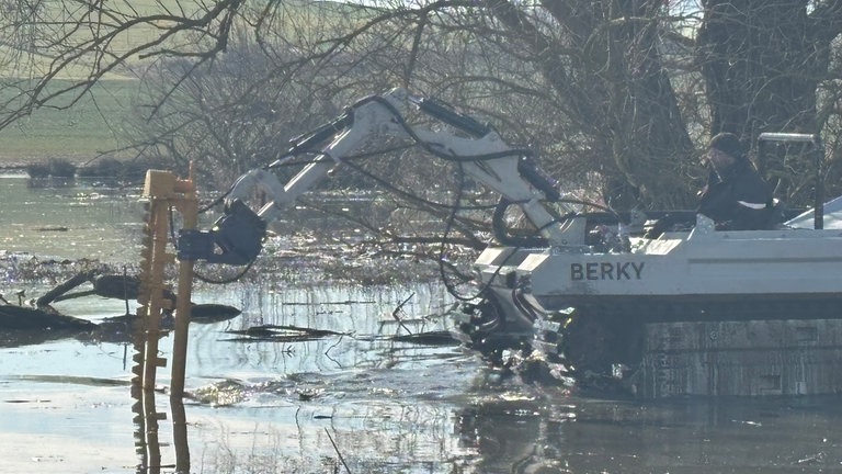 Ein Amphibienfahrzeug wird in dem unwegsamen Gelände "Thürer Wiesen" eingesetzt. Es soll nach dem Öl-Unfall unter anderem Schilf aus dem Naturschutzgebiet herausholen.