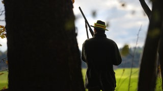 Ein Jäger im Wald mit einem Gewehr in der Hand. Die in Fiersbach im Kreis Altenkirchen gefundene Wölfin wurde mit Schrot erschossen. 