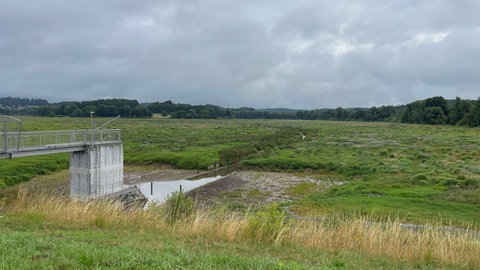 Der Wiesensee im Westerwald liegt seit rund drei Jahren trocken.