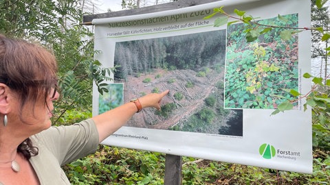 Monika Runkel zeigt auf einem Foto wie die Kahlflächen damals aussahen.