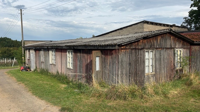 Eine alte Holzhalle auf einer Wiese: In dieser Halle stehen die kinetischen Kunstwerke von Willi Reiche. Jetzt braucht er dringend einen neuen Ausstellungsort.