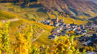 Im herbstlichen Mayschoß leuchten die Weinberge rund um die Pfarrkirche.