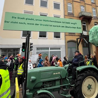 Der Hüttchensbaum von Neuendorf hat es bis in den Rosenmontagszug geschafft.