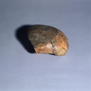 Dieses Schädelfragment wurde als "Neandertaler von Ochtendung" bekannt - es ist aber aus der Neuzeit.