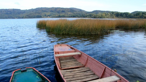 Der Laacher See