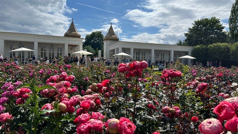 Eine angelegte Fläche für Blumen am Eingang des botanischen Gartens Schloss Bieberstein