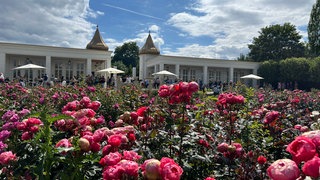 Eine angelegte Fläche für Blumen am Eingang des botanischen Gartens Schloss Bieberstein