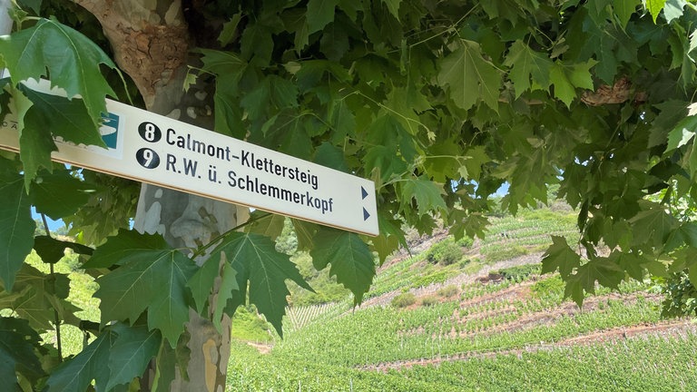 Ein Hinweisschild auf den Calmont-Klettersteig in Bremm an der Mosel 