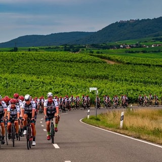 Fahrerfeld bei der VOR-TOUR der Hoffnung