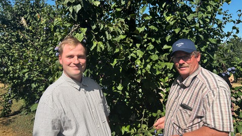 Thomas Kreuter und sein Sohn Tim Kirch vor einem der Pflaumenbäume in Mülheim-Kärlich