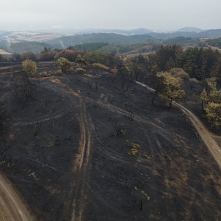 Drohnenaufnahme der zerstörten Landschaft nach dem Waldbrand bei Langscheid in der Vordereifel