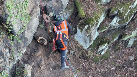 Kletterer lösen Steine am Loreleyfelsen, um ihn zu sichern.