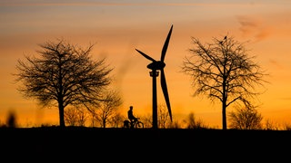 Ein Mann fährt bei Sonnenaufgang mit einem Fahrrad vor einem Windrad vorbei: 2024 stagnierte der Ausbau der Windkraft in der Südpfalz und Vorderpfalz