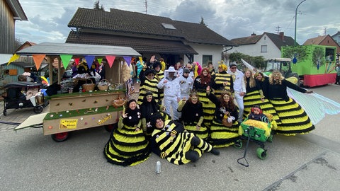 Faschingsumzug in Neuburg