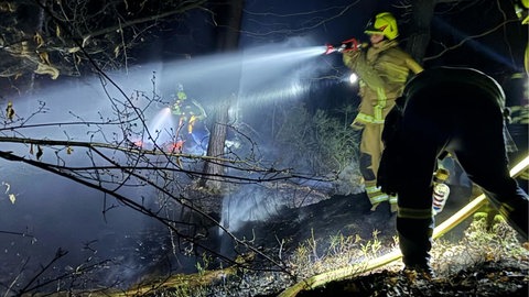 Einsatzkräfte bei einem Waldbrand in Bad Bergzabern