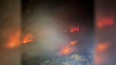 Einsatzkräfte bei einem Waldbrand in Bad Bergzabern