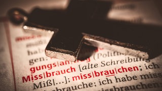 Das Team der Universität Mannheim stellte erste Ergebnisse der Missbrauchsstudie im Bistum Speyer vor.
